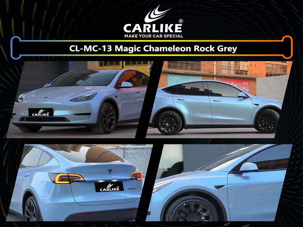 Magic Chameleon Rock Grey Car Wrap