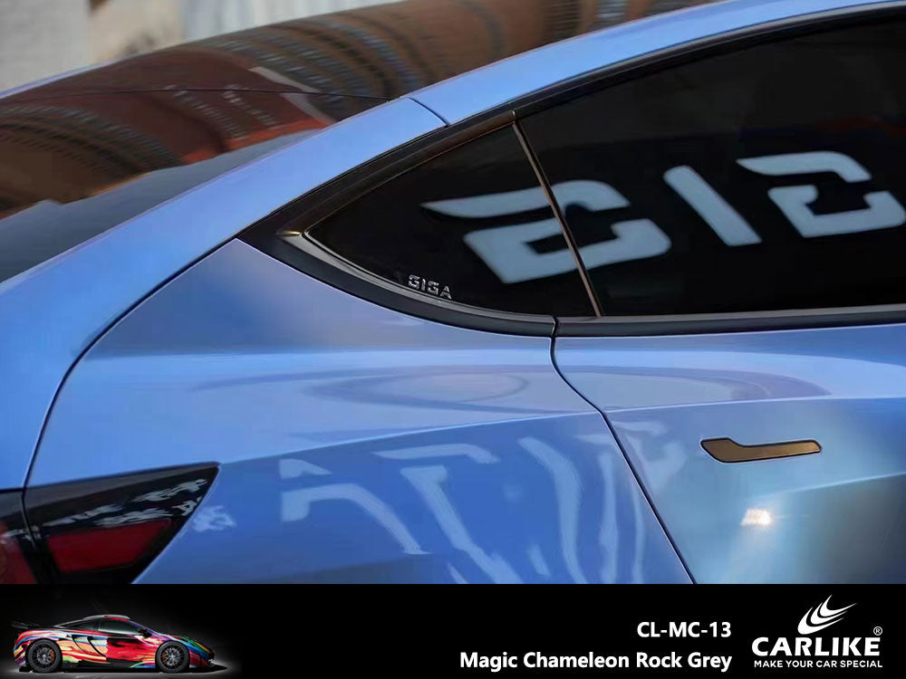 Magic Chameleon Rock Grey Car Wrap