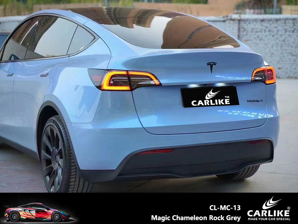 Magic Chameleon Rock Grey Car Wrap